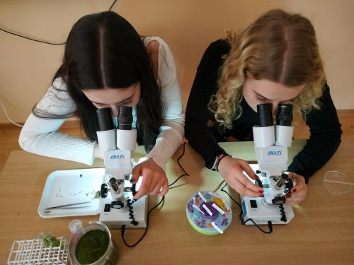 Dwie dziewczyny korzystające z mikroskopów. Na stoliku znajdują się składniki do ćwiczeń.